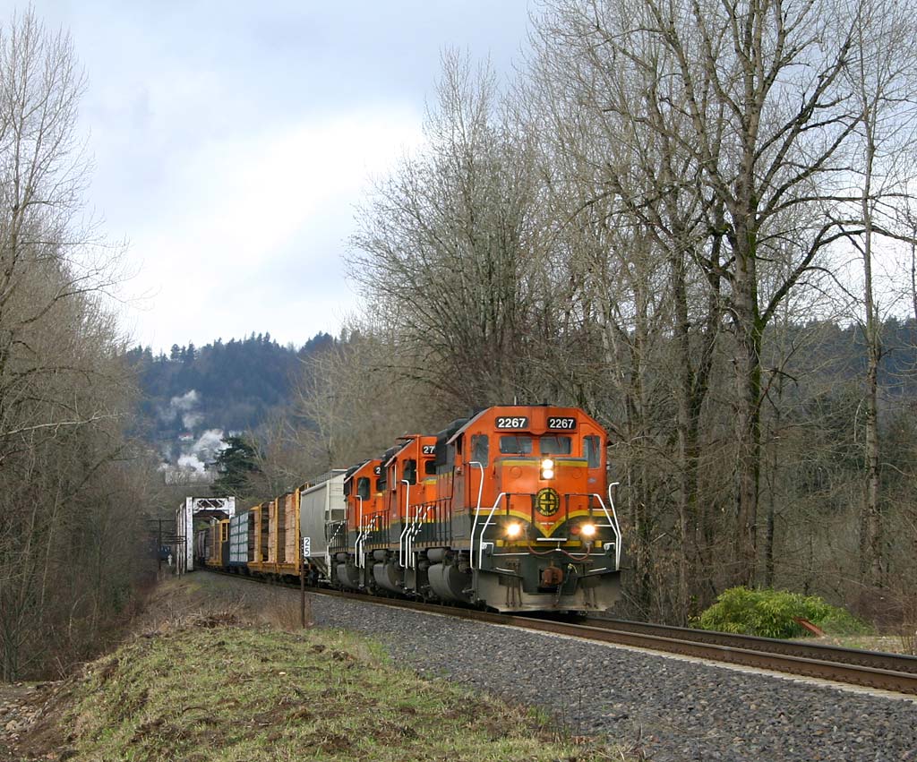 A Gray Washougal Morning
