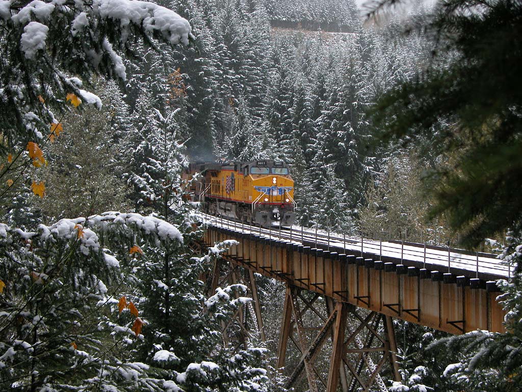 A Salt Creek Christmas Card