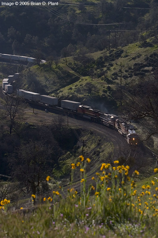 A Tehachapi Spring