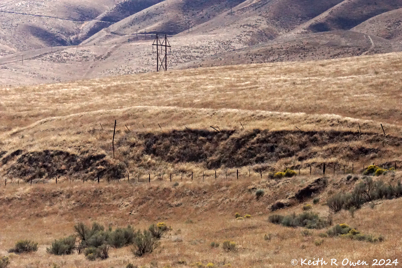Abandoned NP/BN Pendleton Branch
