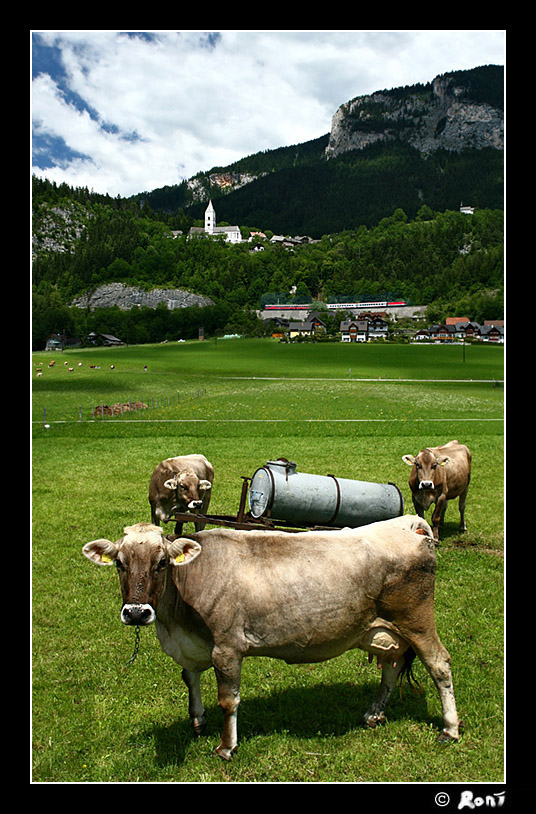 Alpine Panorama I