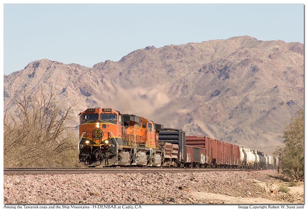 Among the Tamarisk Trees and Ship Mountains