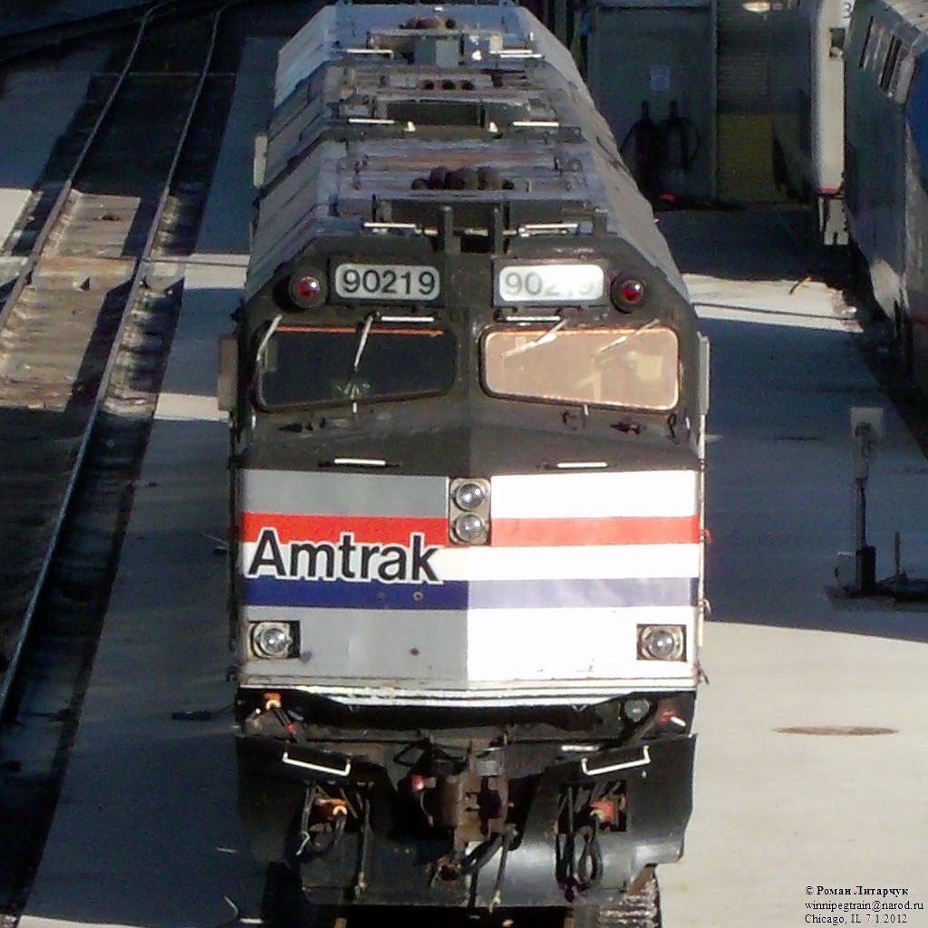 AMTK 90219 Cabbage