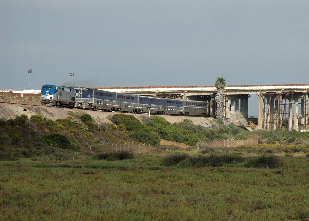 Amtrak in Torrey Pine's State Park