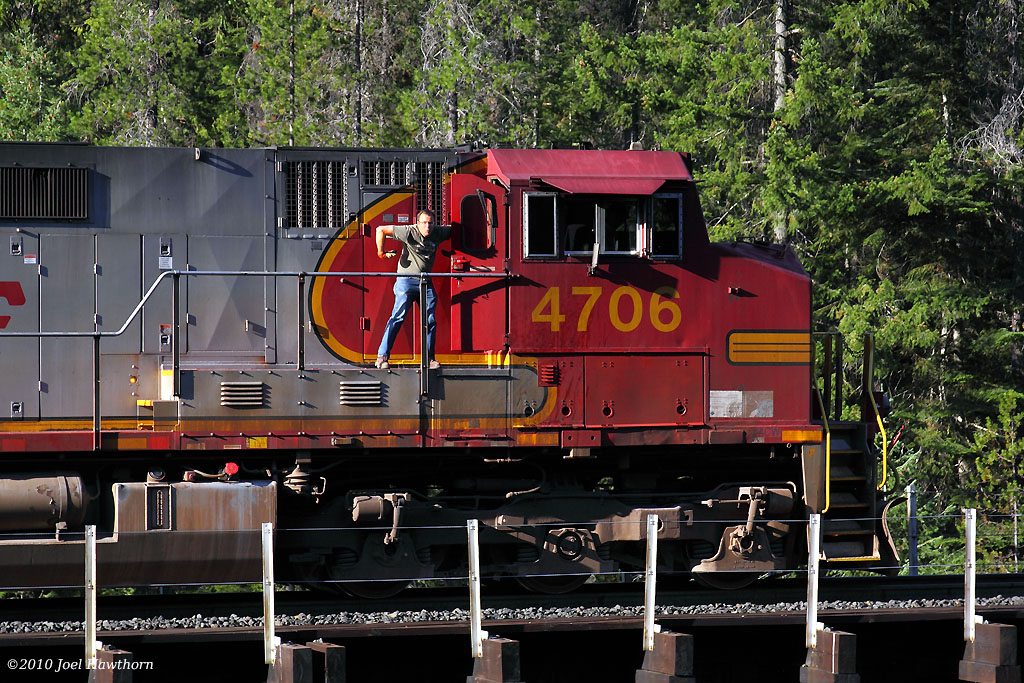 Apes on a Train