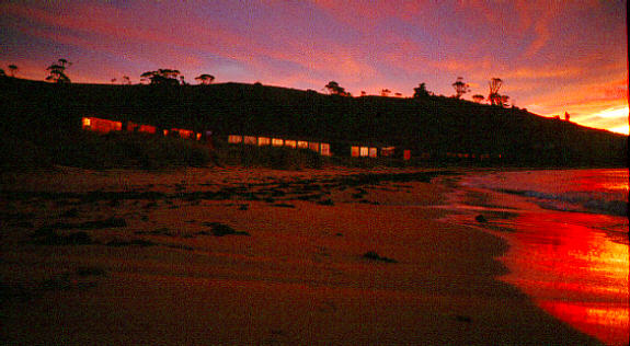 Beachside sunset