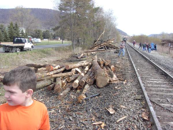 BL log truck