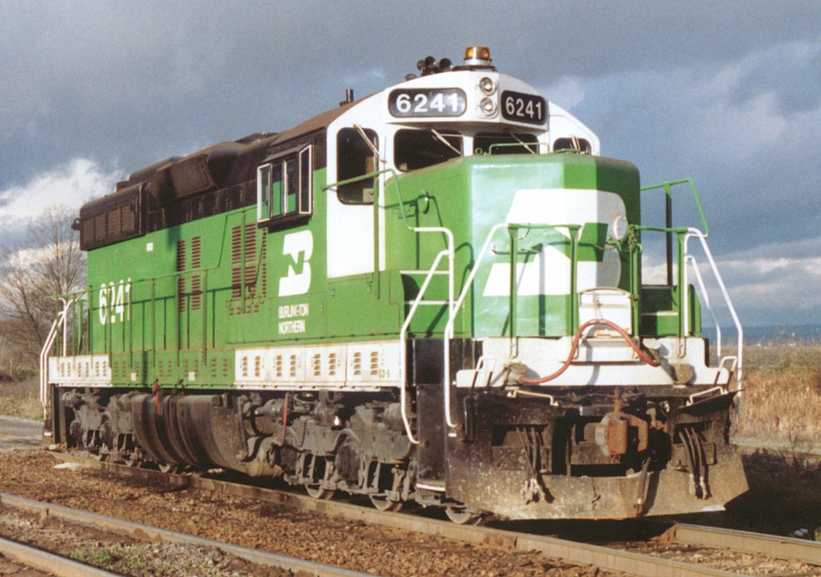 BN chopnose SD24