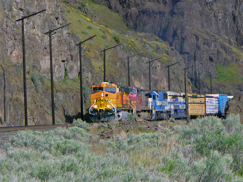 BNSF 4602 at Moody, OR