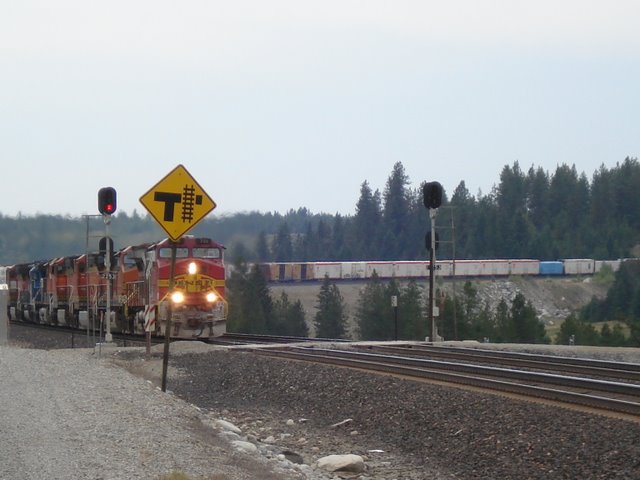 BNSF 736