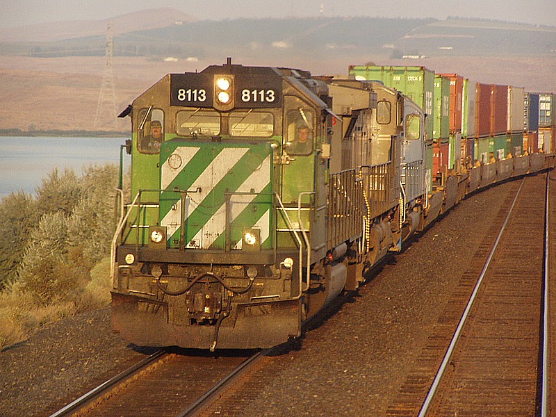 BNSF 8113