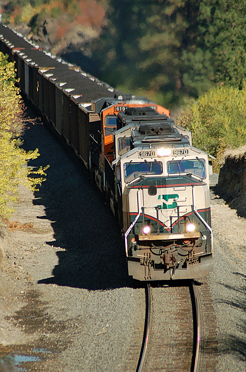 BNSF Coal