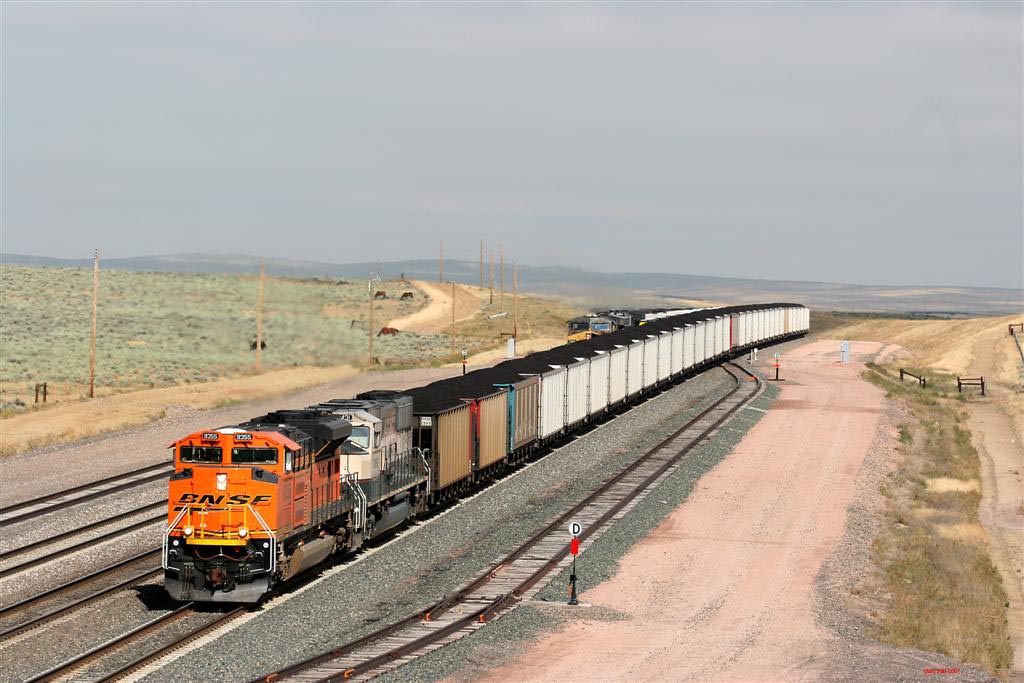 BNSF_9355_Large_copy