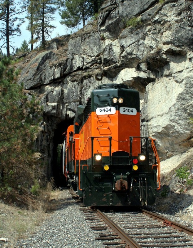 Bountiful Grain & Craig Mountain RR - Idaho