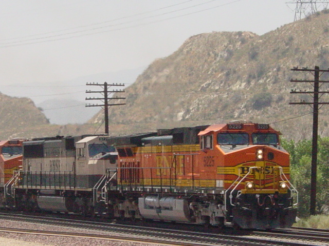 BSNF 5225