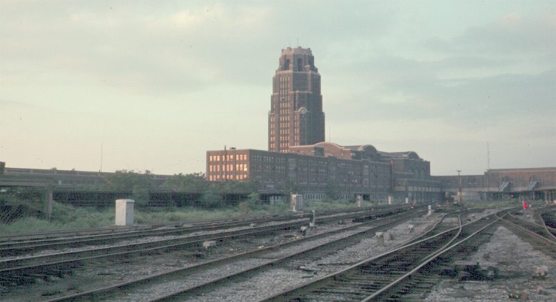 Buffalo
