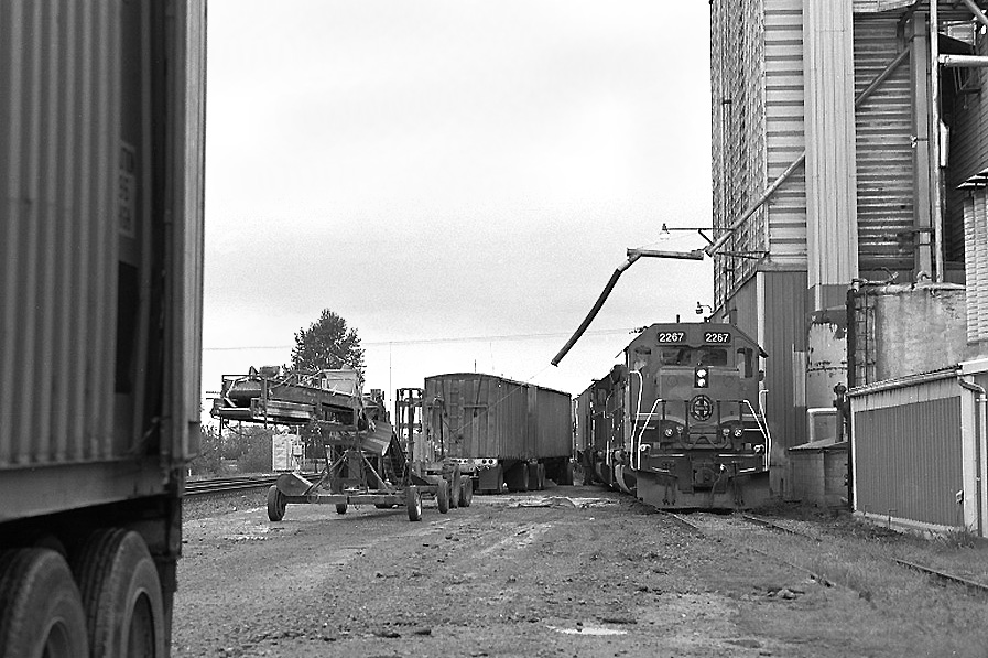 Busy Morning at Good Ol' Conway Feed