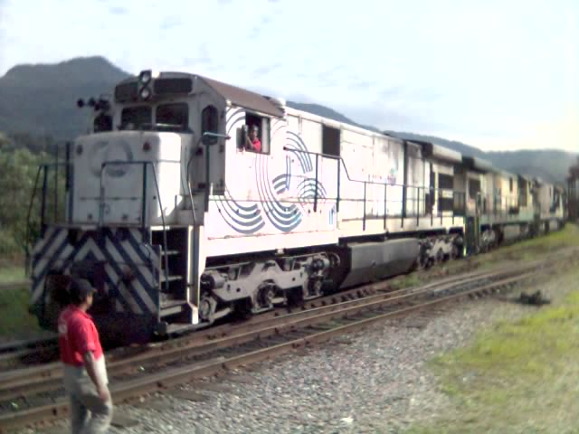 C30-7A CUTRALE QUINTELA