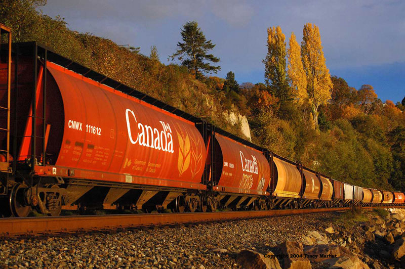 Canada Hoppers
