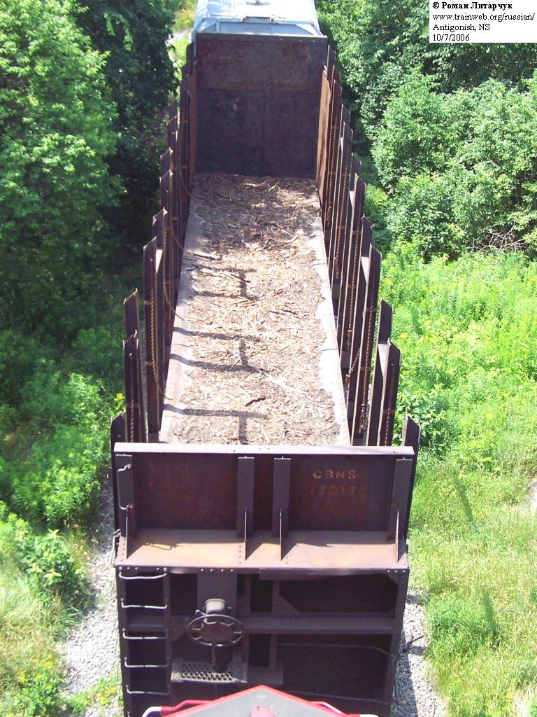 CBNS bulkhead pulp