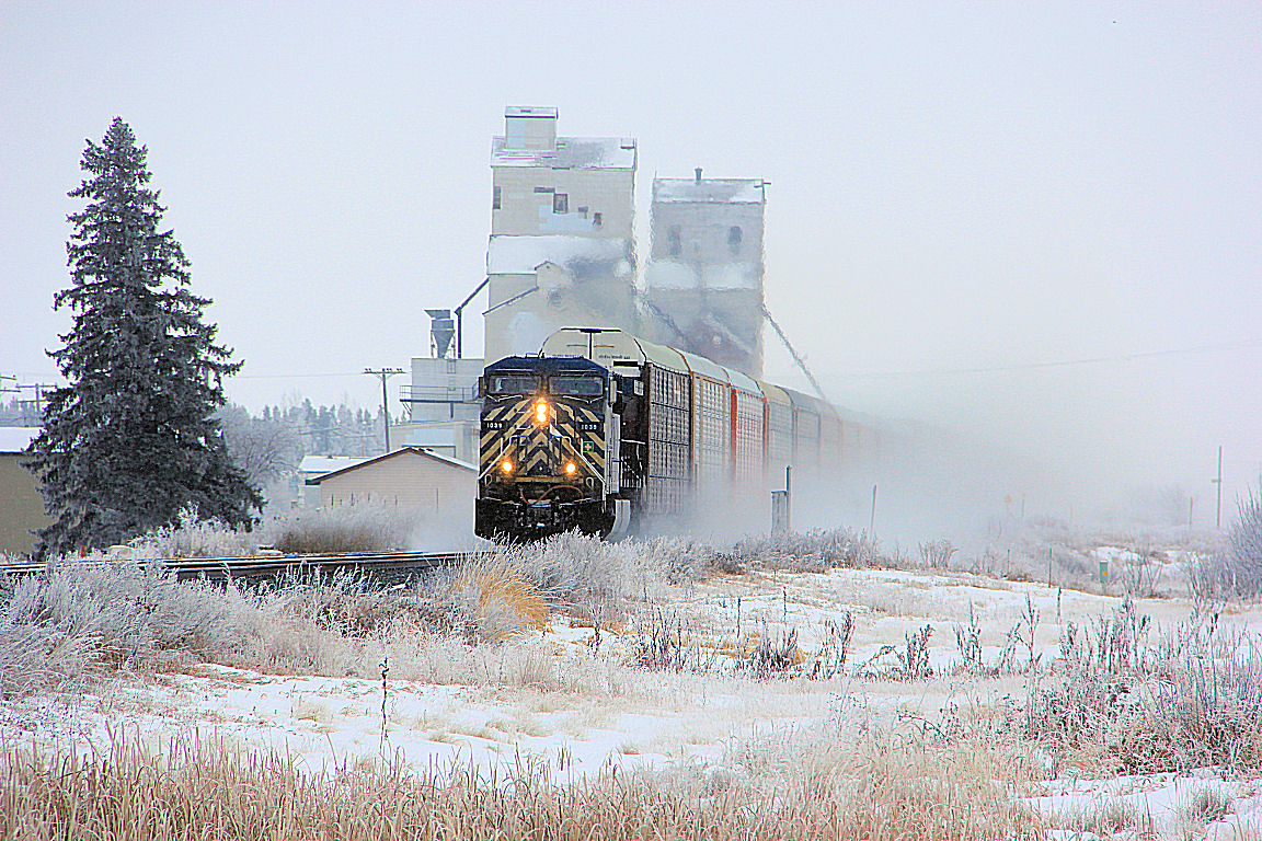 CEFX Freight Train