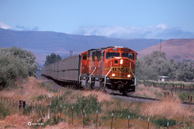 Centralia Coal