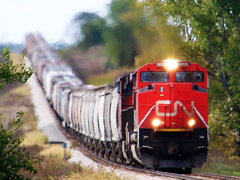 CN 8005