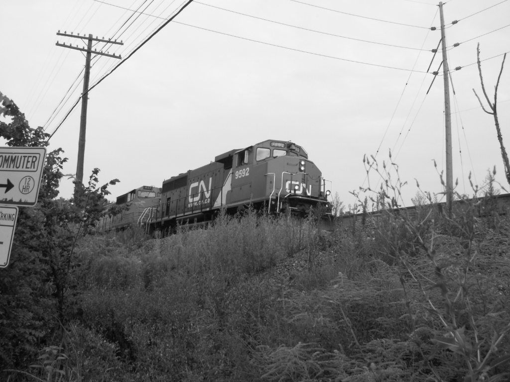 CN 9592