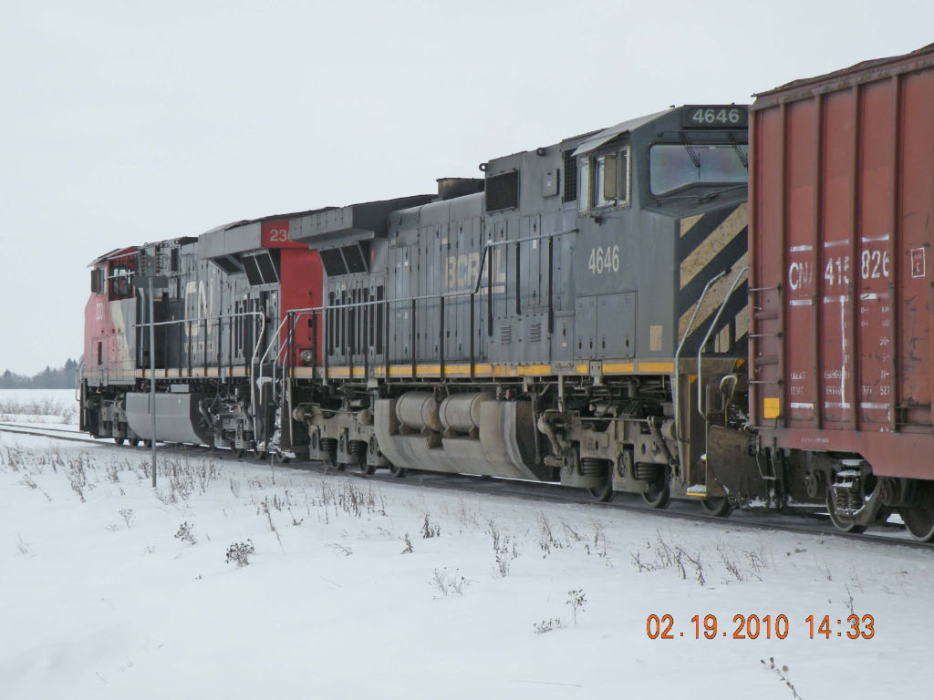 CN -  BCR