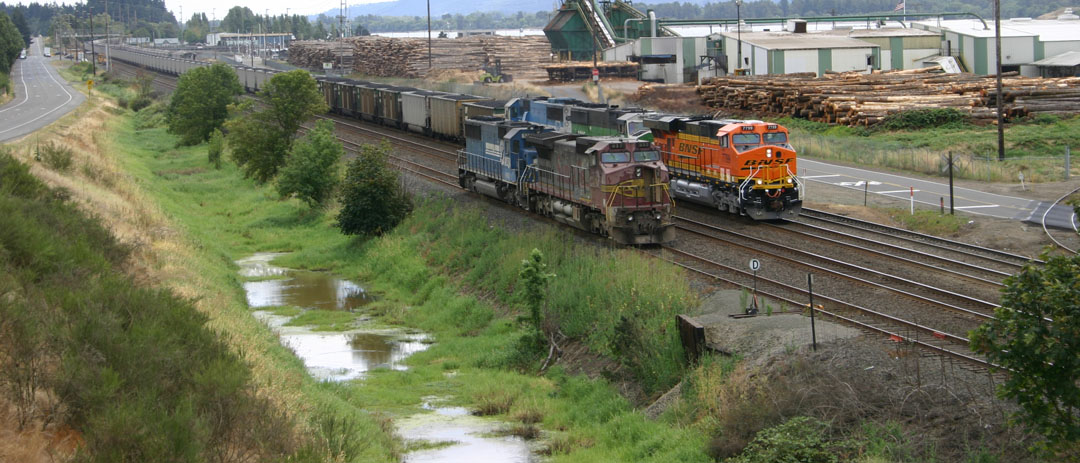 Coal in the NW?