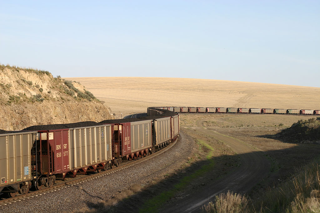 Coal on the HIll