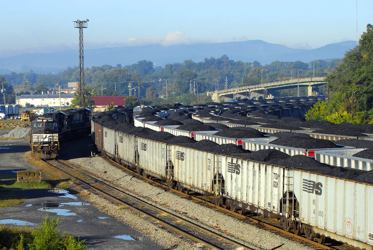 Coal