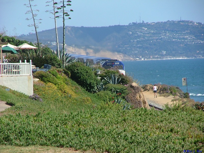 Coaster in Del Mar