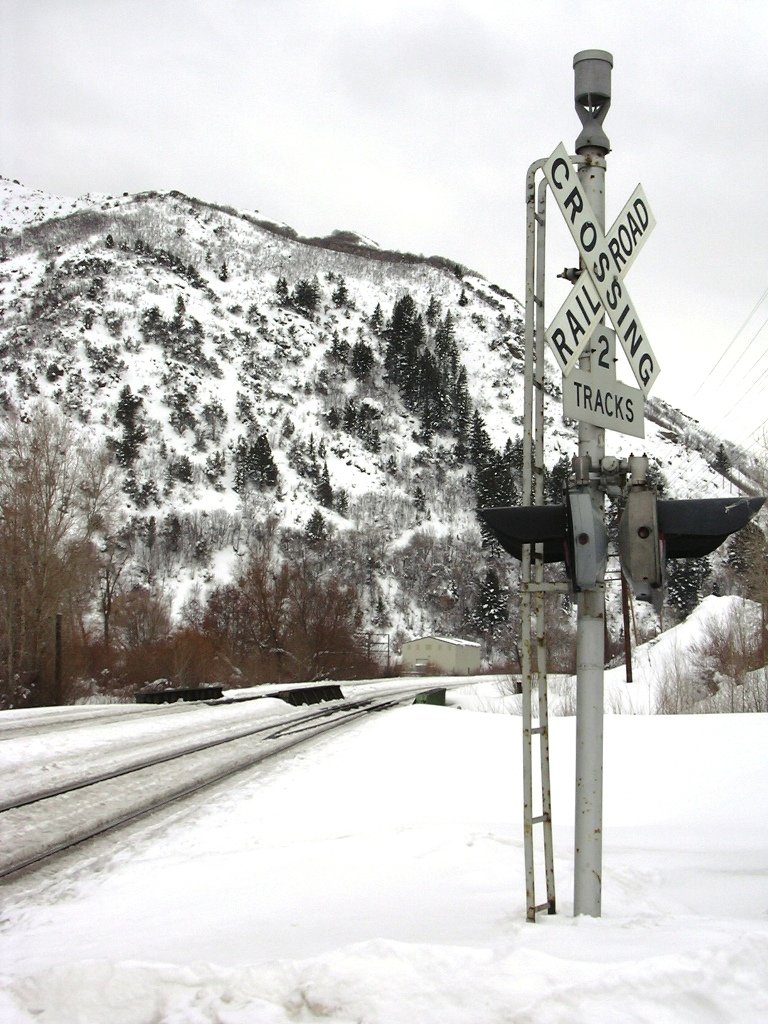 Cold Crossing