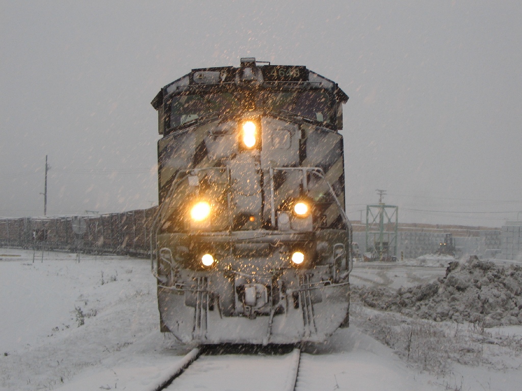 cold & wet