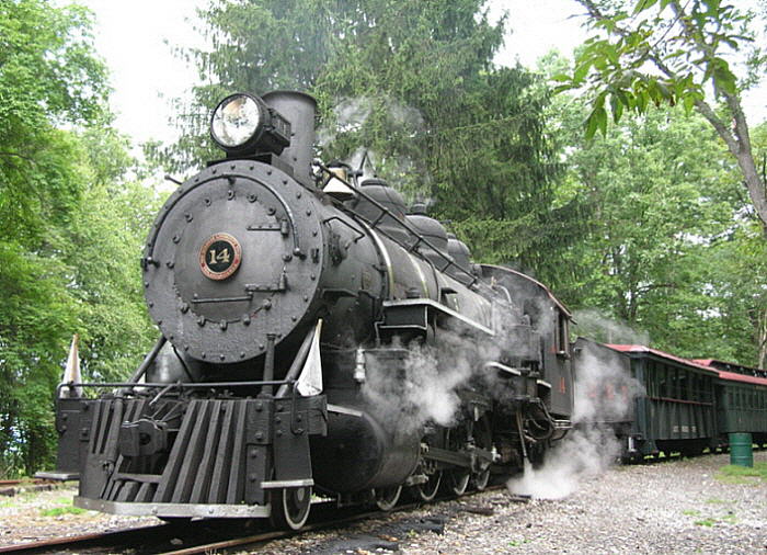 Colgate Grove