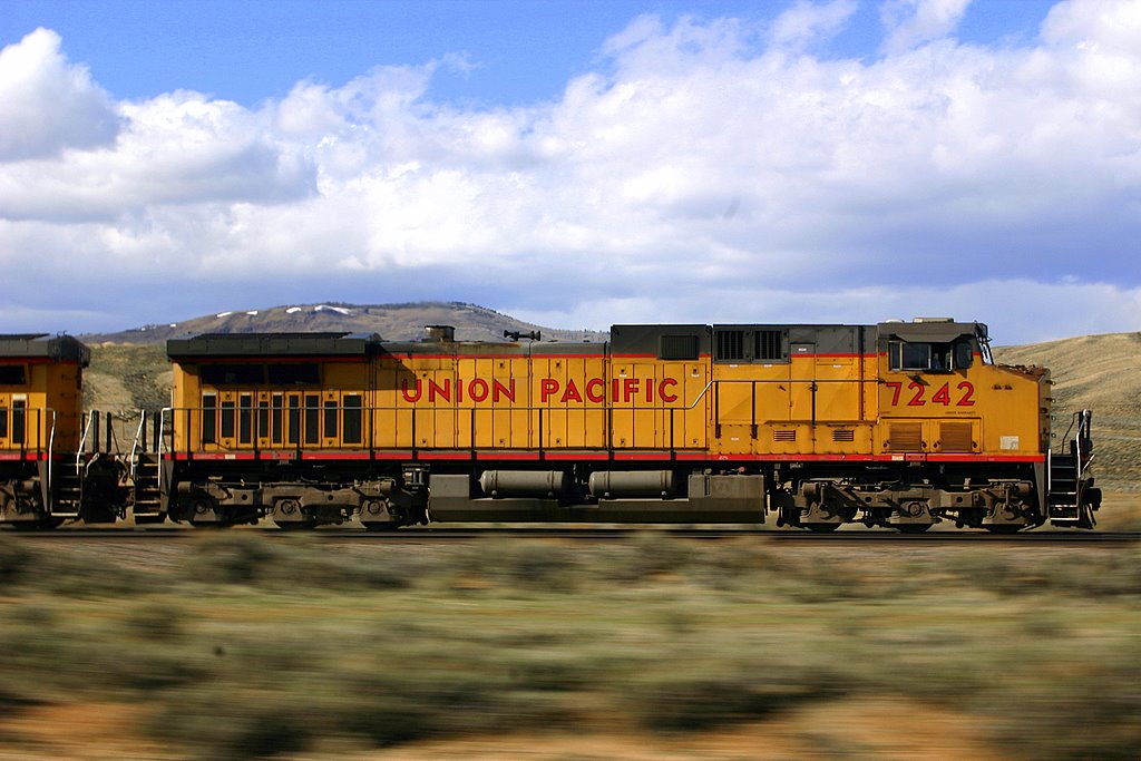 Colorado Speed