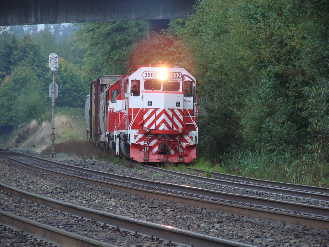 Coming Off the TMBL Lakeview Line