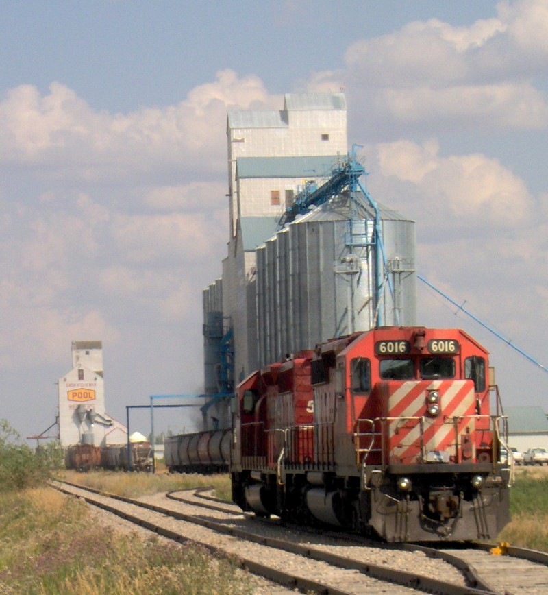 CP 6016