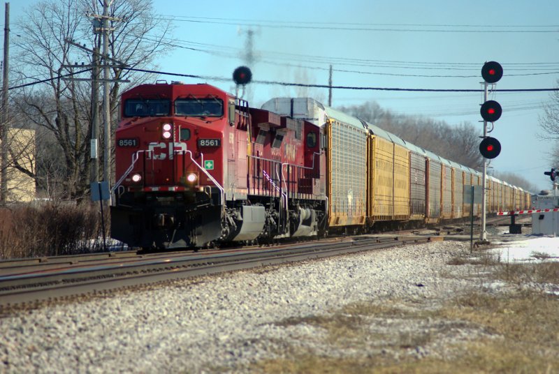 CP 8561
