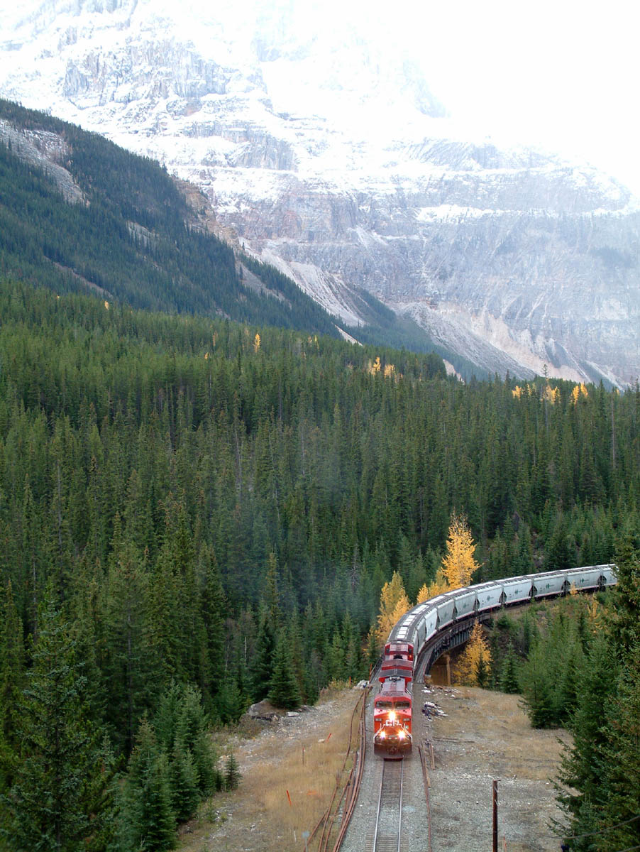 CP 8618 east