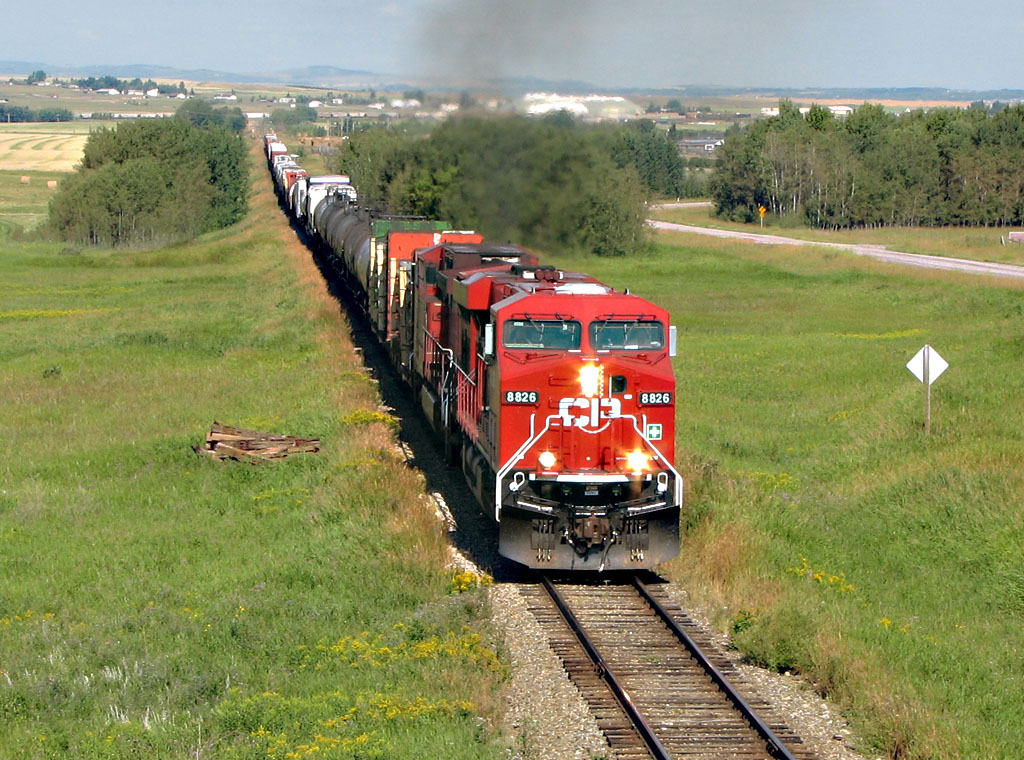 CP 8826