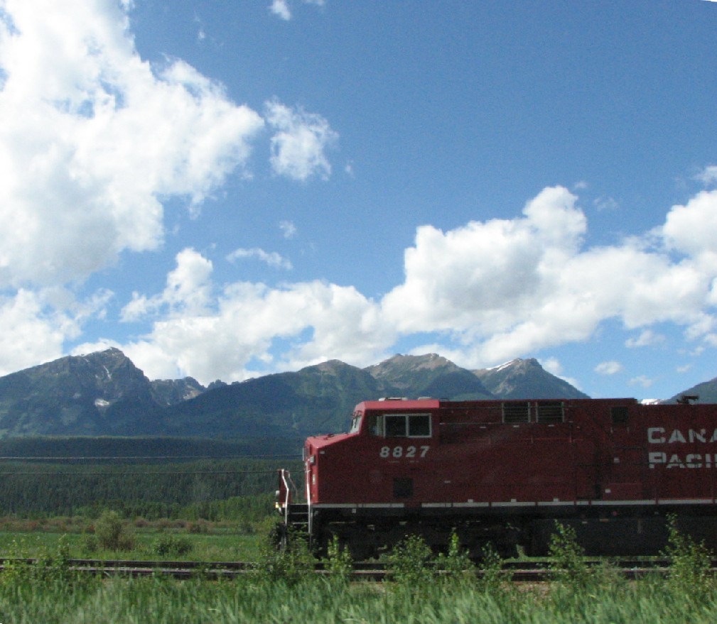 CP 8827