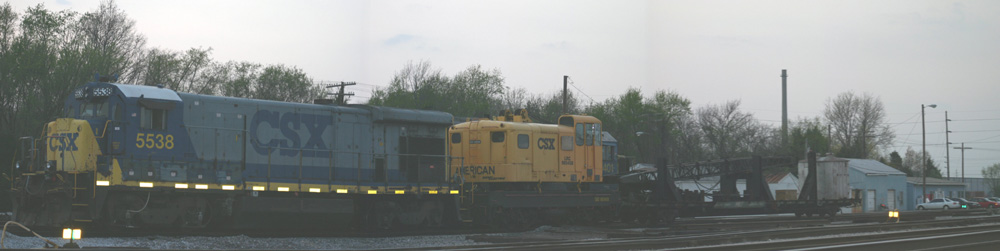 Crane in Bowling Green
