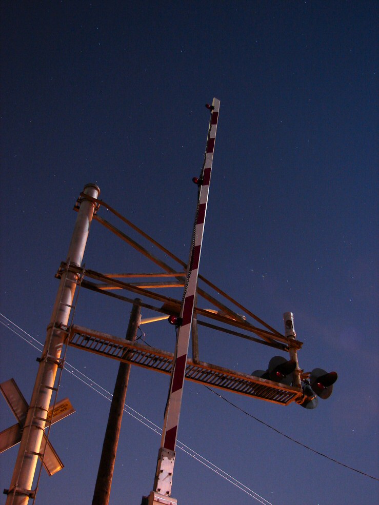 Crossing Signal in the night light