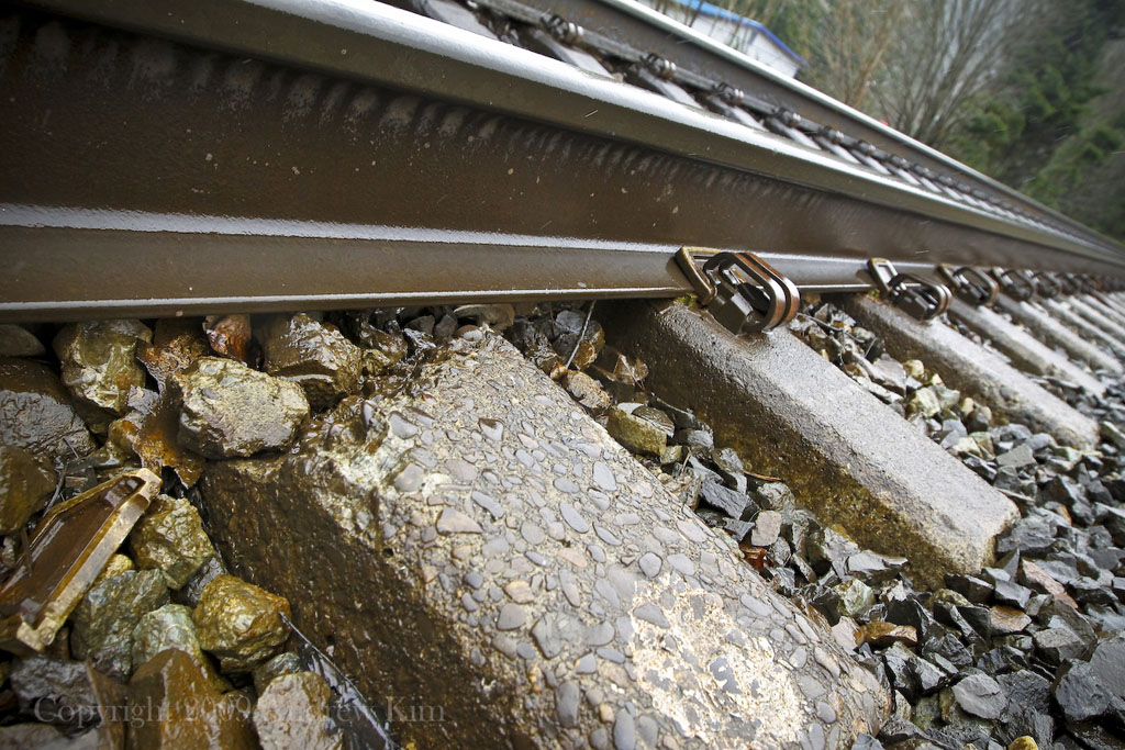 Danger on the Tracks