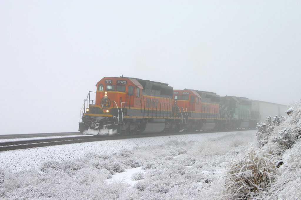 Dash 2s in the Snow