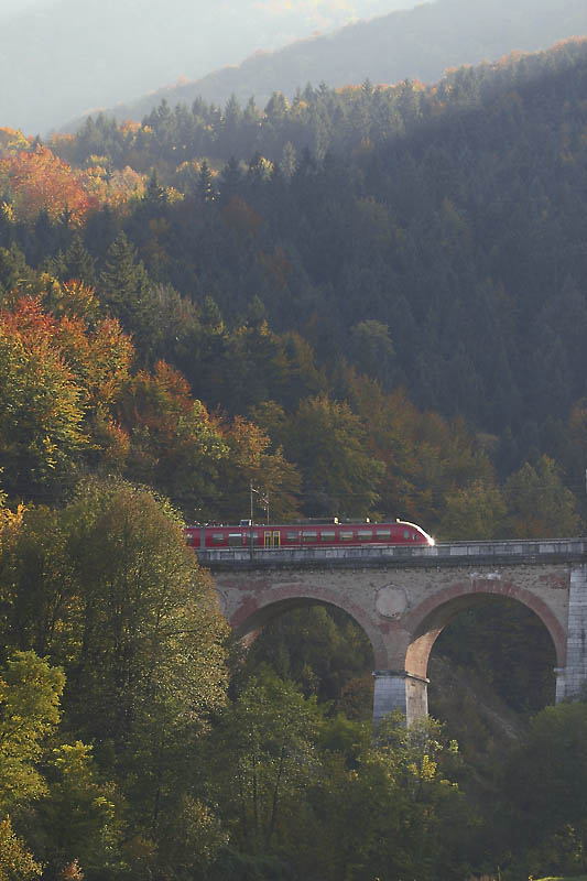 Desiro in Fall Colors