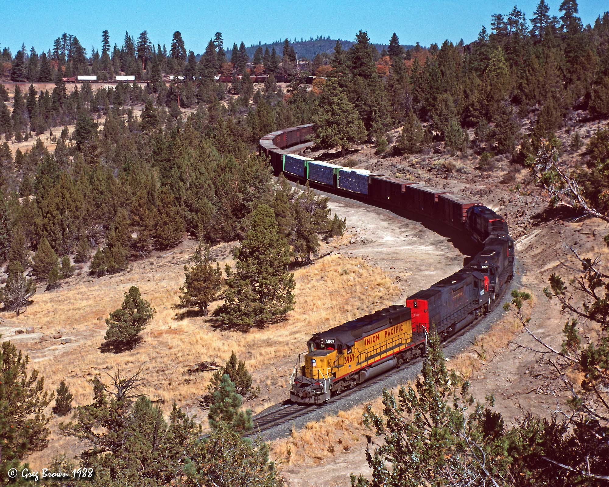 Down the Gulch