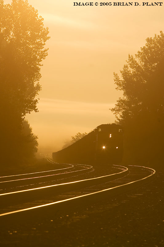 Early Morning